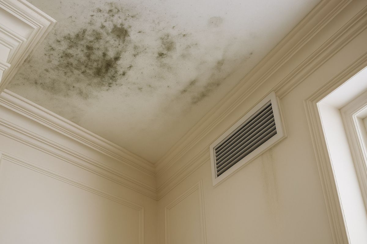 Comment enlever les traces d’humidité sur un mur ou un plafond