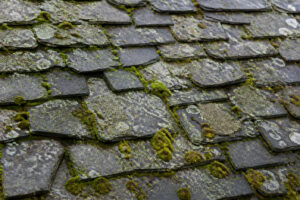 Gros plan sur une toiture en ardoise ancienne recouverte de mousse verte et de lichens gris.